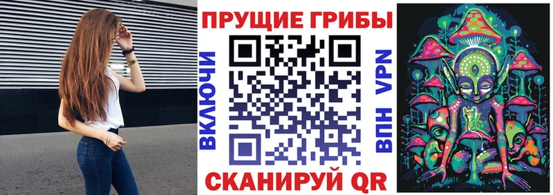 что такое   Покачи  Галлюциногенные грибы ЛСД 